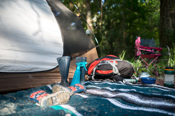 Fototapeta na wymiar Camping in Louisiana Bayou
