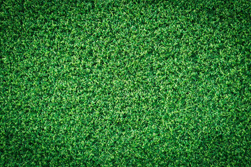 Obraz premium Green grass texture or green grass background for golf course. soccer field or sports background concept design. Artificial green grass.