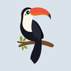 cute toucan vector