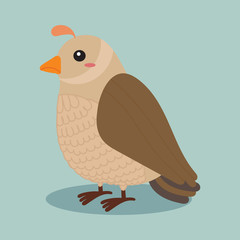 cute quail vector