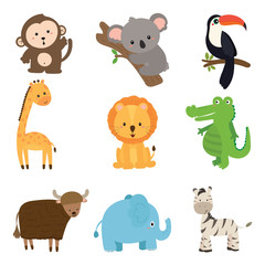 set of cute animal wildlife vector