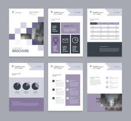 Fototapeta na wymiar business company profile ,annual report , brochure , flyer, presentations,magazine,and book layout template, with page cover design and info chart element. vector a4 size for editable.