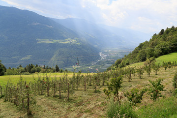 Fototapeta na wymiar Chairlift, apple trees and mountain panorama in Algundo, South Tyrol