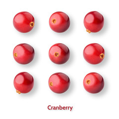 cranberry pattern, on the white background, abstract
