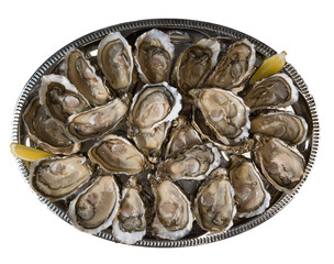 fresh oysters dishing up with lemon on white background