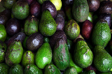 Avocado also refers to the Avocado tree's fruit, which is botanically a large berry containing a single seed. Raw fruits background