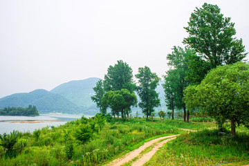 Fototapeta na wymiar Rural Landscape in South Korea