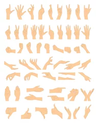 Fotobehang Gestures of hands on a white background. Vector illustration. © rb_octo