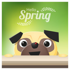 Hello Spring season background with pug dog looking at a red ladybug , vector , illustration