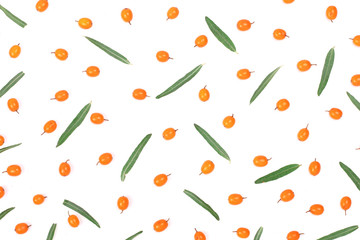 berries of sea-buckthorn with leaves isolated on white background. Top view