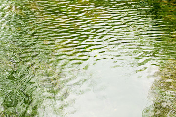 the smooth water on the river with a green tint