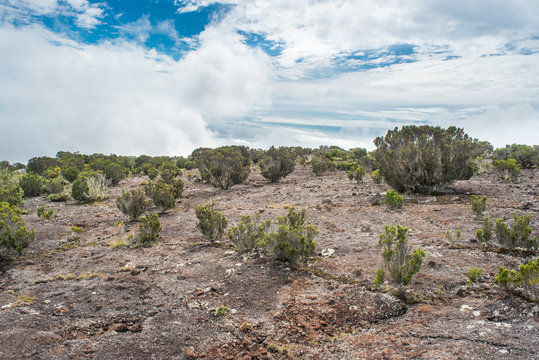 D&eacute;sert Volcanique, Ile de La R&eacute;union