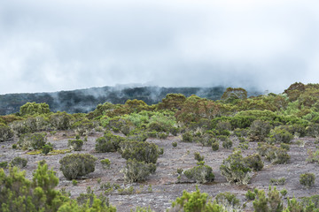 Fototapeta na wymiar Désert Volcanique, Ile de La Réunion