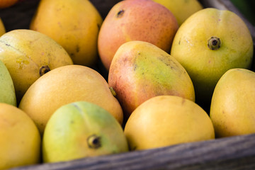 Fresh mango fruit in wooden box, full frame, closeup. Mangos yellow, red, green color, display at local market stall in Sydney, Australia.