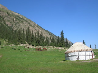 Alpine meadows