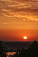 In the evening, see the red sun beside the shade of trees.