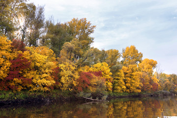 landscape with river and autumn forest on the high bank.