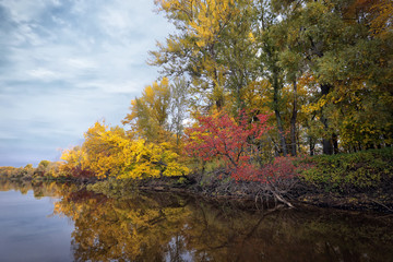 landscape with river and autumn forest on the high bank.