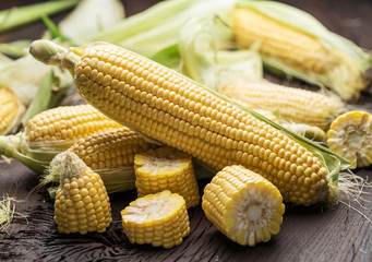 Ear of maize or corn on the dark wooden background.