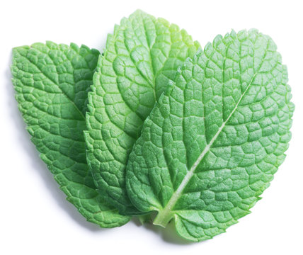 Three spearmint leaves or mint leaves isolated on white background.