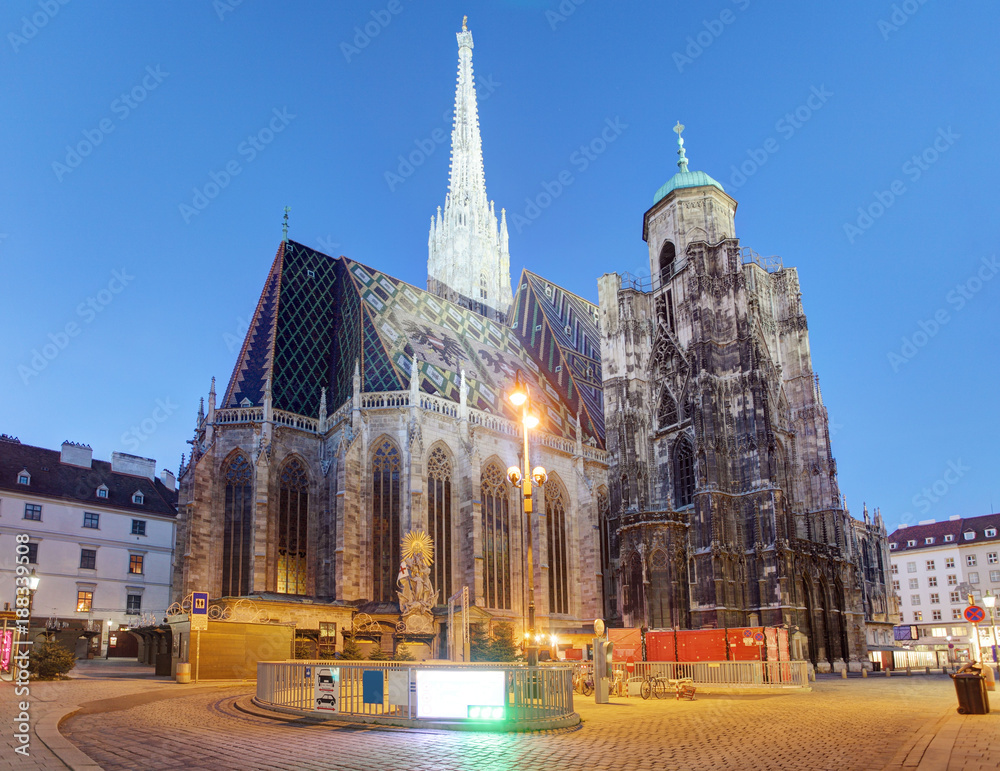 Wall mural Austria - Vienna cathedral at night