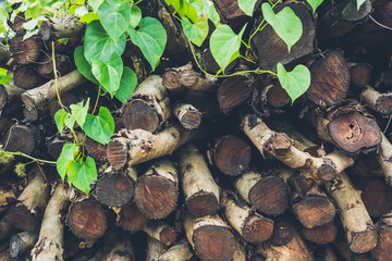 Pile firewood prepared for fireplace