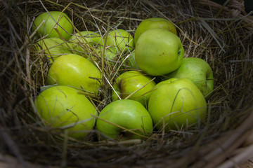 Green apples on the straw in the wicker basket