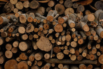 Cut wood, firewood for the winter. Cut logs fire wood and ready pieces of wood for heating wood. Lumber industry. Heating season, winter season. Renewable resource of energy. Environmental concept.