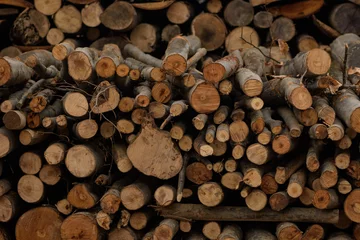 Möbelaufkleber Cut wood, firewood for the winter. Cut logs fire wood and ready pieces of wood for heating wood. Lumber industry. Heating season, winter season. Renewable resource of energy. Environmental concept. © drpsd