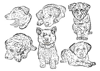 Collection of silhouette puppies. Vector.