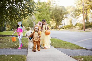 Children And Dog In Halloween Costumes For Trick Or Treating