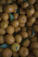 Laranjas Bio