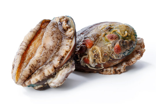 Abalone with seafood
