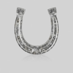 Isolated Chrome Horse Shoe on a Light Reflective Surface