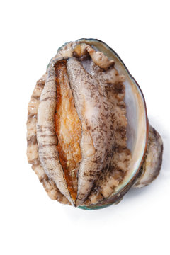 Abalone with seafood
