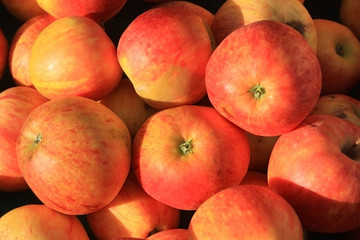 Äpfel