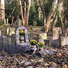 freh roses on a grave at tower hamlets cemetery