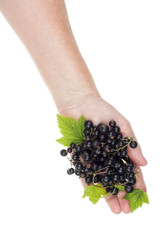 Black fruit summer vitamins concept isolated