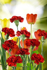 Fototapeta premium image of many beautiful flowers in a garden closeup