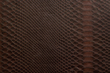 a texture consisting of brown cells, similar to the skin of a snake