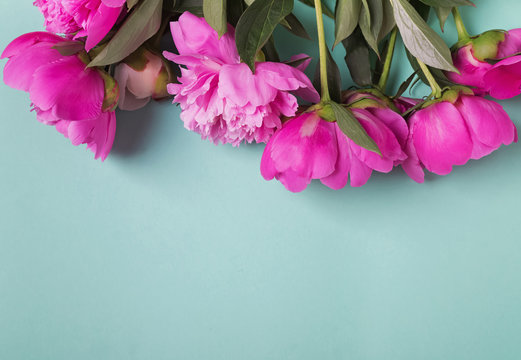 Fototapeta Beautiful peonies on the mint color background