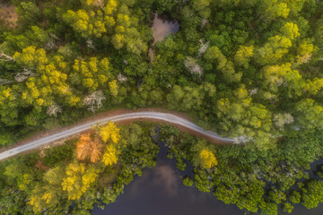 Aerial view of trees and road in Kudat, Malaysia