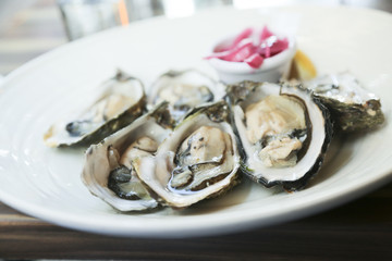 Fresh oysters