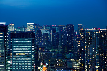 Fototapeta na wymiar Cityscape view of Tokyo Japan