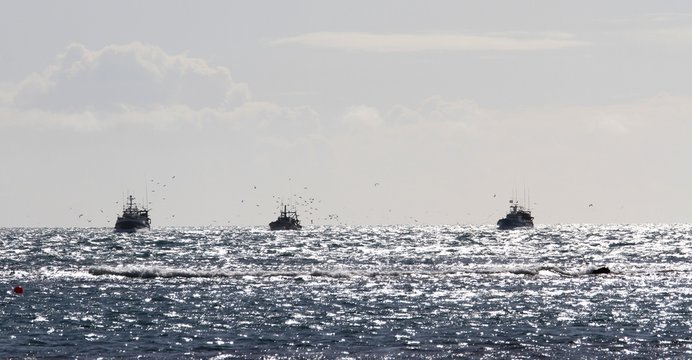 chalutiers en mer pris &agrave; contre-jour