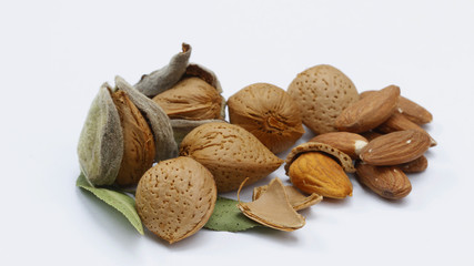 Reife Mandeln, Früchte vor hellem Hintergrund, Serie 4 von 16