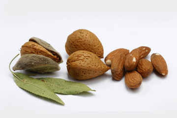 Reife Mandeln geöffnet und geschlossen vor hellem Hintergrund, Serie 2 von 16