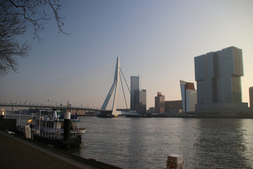 Fototapeta premium Erasmusbrug in the morning sun during sunrise at river Nieuwe Maas in Rotterdam, the Netherlands