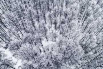 Aerial view of forest in the winter during the snowfall