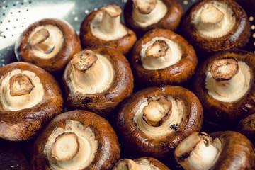 Fresh mushroom on the table. Selective focus.